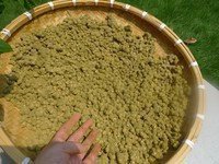 土法自制黄豆酱的做法 步骤10