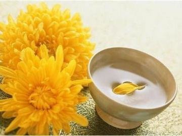 《本草纲目》草部：菊花