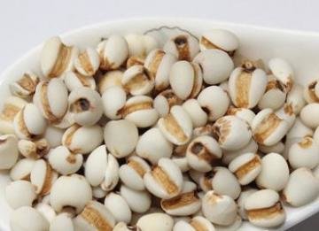 薏苡仁是薏米吗？