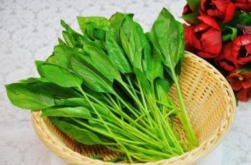 吃菠菜对眼睛好