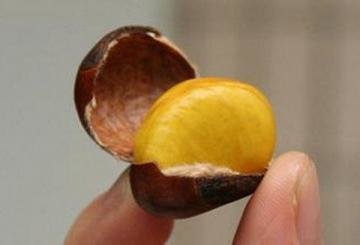 煮熟的板栗怎么去皮