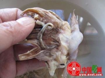 墨鱼干怎么泡发清洗