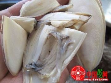 墨鱼干怎么泡发清洗