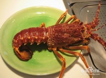清蒸澳洲龙虾