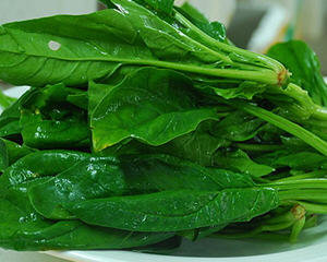 菠菜的菜谱大全
