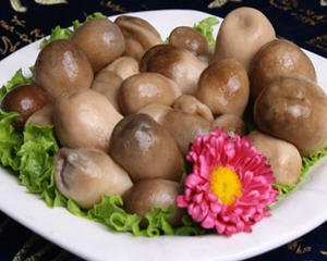 草菇的做法大全