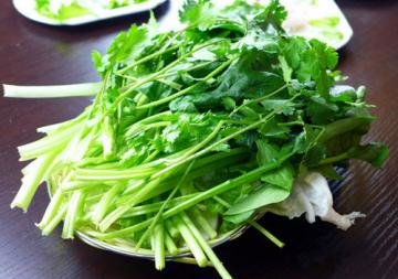 香菜含抗黄麴毒素？排毒偏...