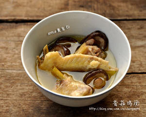香菇炖鸡汤