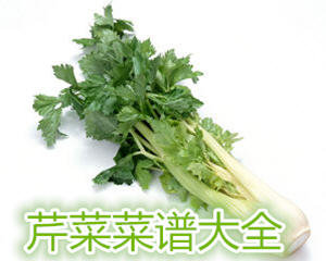 芹菜菜谱大全