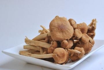 香菇根部能吃吗？香菇的根...