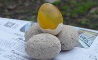 手工自制皮蛋，松花蛋的做法 步骤5