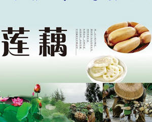 莲藕菜谱大全