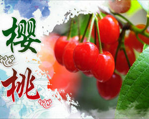 樱桃菜谱大全
