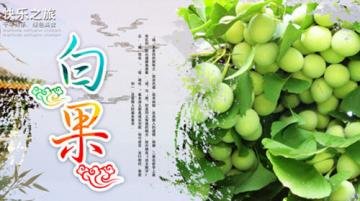 白果的药用价值