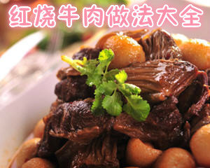 红烧牛肉的做法大全