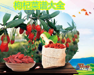 枸杞的菜谱大全