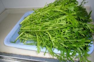 雪里红炒肉末的做法步骤：1