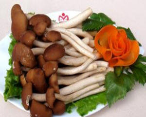 茶树菇的吃法合集