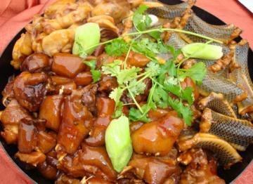 猫肉为什么不能吃的三个原...