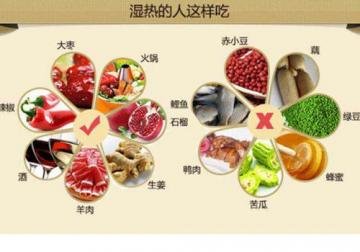 湿热体质如何调理-湿热体...