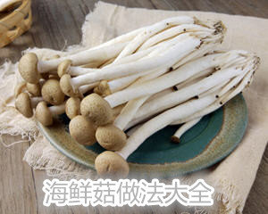 海鲜菇的做法大全