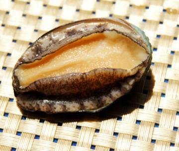 鲍鱼价格一斤多少钱？今年...