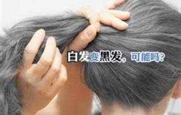 白发变黑发的食疗秘方