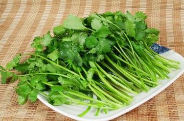 男人吃香菜好吗？男人香菜...