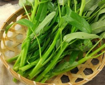 空心菜什么人不能吃？