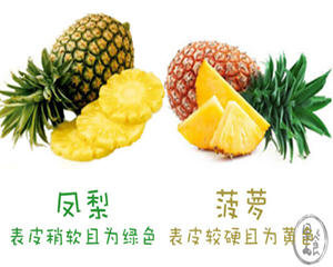 金菠萝是凤梨吗？凤梨与金...