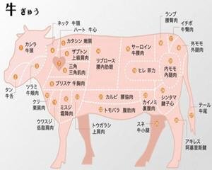 牛肉各部位中日文对照表图...