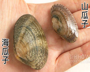 海鲜贝类清洗方法和烹调技...