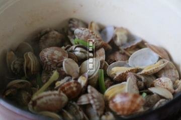 酒香花蛤4