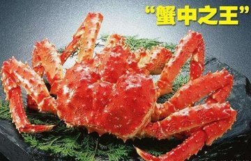 阿拉斯加帝王蟹是什么蟹？