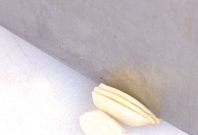 腊肉炒舌尖2