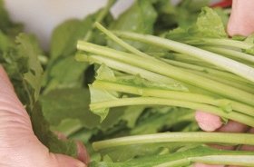 清炒白萝卜梗2