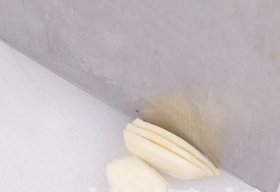 清炒白萝卜梗3