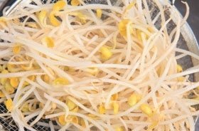 双芽虾米煲2