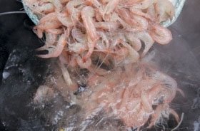 双芽虾米煲3