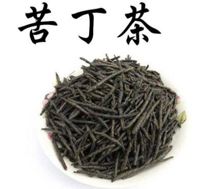 苦丁茶