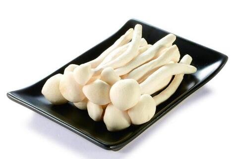 海鲜菇不能和什么一起吃？