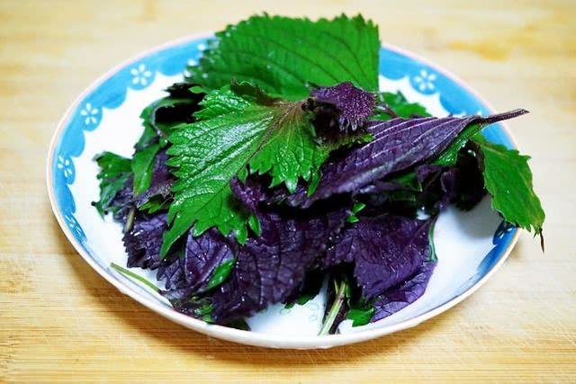 紫苏叶健胃驱寒，更能去油腻，学了这道【紫苏叶煎蛋】，放心吃肉更健康 5