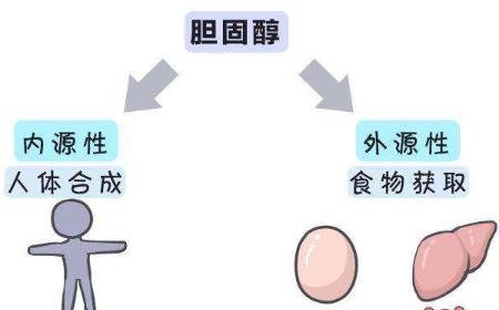 胆固醇