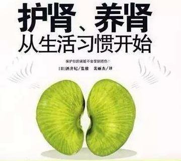 保护肾脏