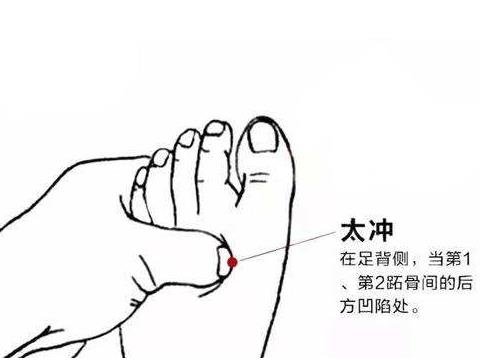 太冲穴