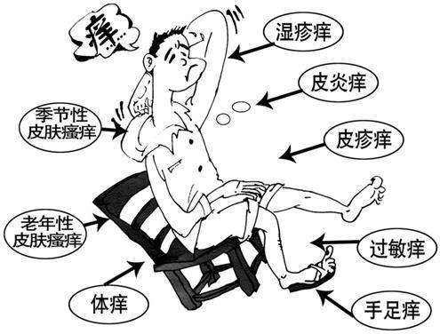 皮肤瘙痒起红疙瘩是怎么回...