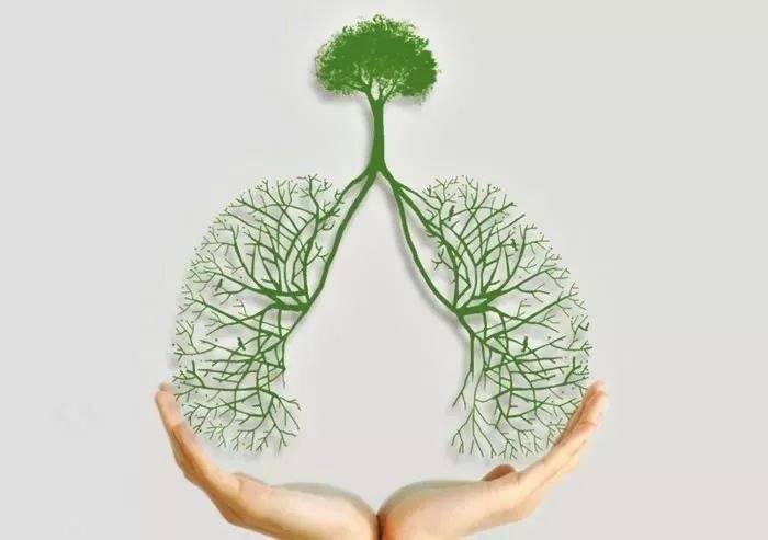 秋季润肺
