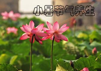 小暑吃什么？