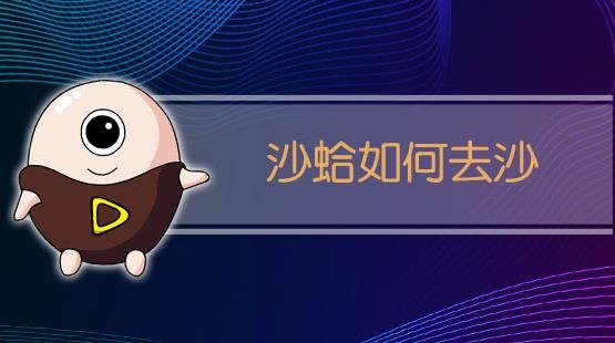 沙蛤