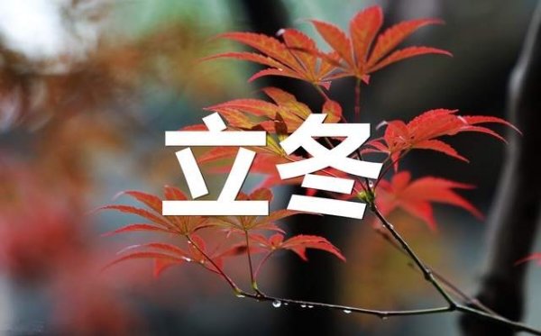 立冬了，记得多吃三黑：黑...